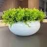 Arranjo Grande Centro de Mesa Vaso Branco com Verdinho - 1