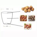 Ver imagem 3 de Quebra Nozes Descascador Abridor Castanha