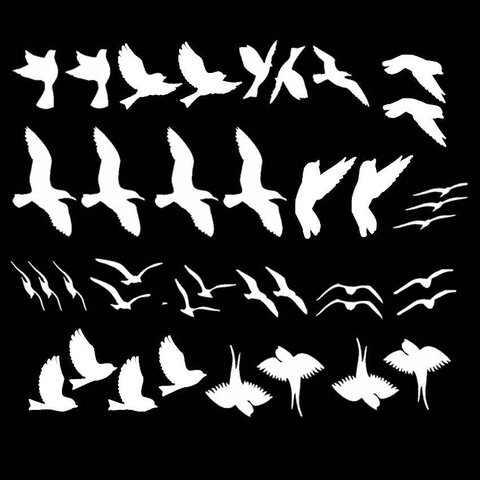 Adesivo Pássaros Gaivotas Sortidos 20 Unidades Pássaro Vidro:branco