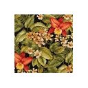 Ver imagem 2 de Conjunto Sofá e Poltronas Jogo para Varanda Area Externa Jardim