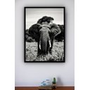 Ver imagem 2 de Quadro Decorativo Foto Elefante P&amp;b - 70x50cm:moldura Branca