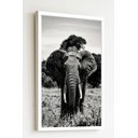 Ver imagem 1 de Quadro Decorativo Foto Elefante P&amp;b - 70x50cm:moldura Branca
