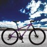 Bicicleta Esportiva Aro 29 Shimano 21 Marcha Suspensão Freio a Disco 531 Quadro 18 Alumínio Roxo/ - 6