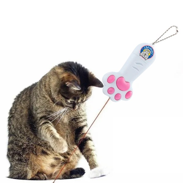 Patinha Cat Light - Laser para Gatos Catmypet Brinquedo - 8