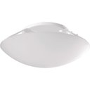 Ver imagem 1 de Kit 8 Plafons Solari Redondo Branco para 2 Lâmpadas E27 Bivolt