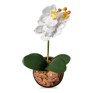 Orquídea Branca Artificial Arranjo Vaso Transparente Flores