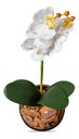 Ver imagem 1 de Orquídea Branca Artificial Arranjo Vaso Transparente Flores