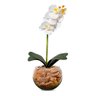 Orquídea Branca Artificial Arranjo Vaso Transparente Flores - 2