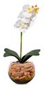 Ver imagem 2 de Orquídea Branca Artificial Arranjo Vaso Transparente Flores