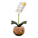 Ver imagem 2 de Orquídea Branca Artificial Arranjo Vaso Transparente Flores