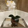 Orquídea Branca Artificial Arranjo Vaso Transparente Flores - 6