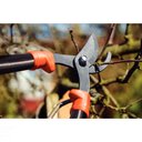 Ver imagem 2 de Tesourão de Poda Tipo Bypass Tramontina em Aço com Cabo Metálico 60 Cm Tramontina