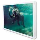 Ver imagem 2 de Quadro Decorativo Elefante Sobre as Águas em Moldura Caixa TaColado Moldura Trad 1cm Madeira Escura 