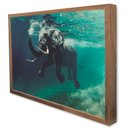 Ver imagem 4 de Quadro Decorativo Elefante Sobre as Águas em Moldura Caixa TaColado Moldura Trad 1cm Madeira Escura 
