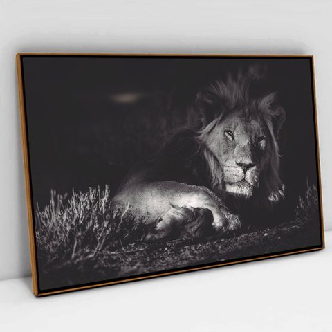 Quadro Decorativo em Canvas Leão Preto e Branco TaColado Moldura Flutuante 4,5cm Freijó 90 x 60cm