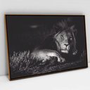 Ver imagem 1 de Quadro Decorativo em Canvas Leão Preto e Branco TaColado Moldura Flutuante 4,5cm Freijó 90 x 60cm