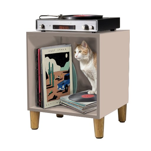 Móvel Nicho Cubo Porta Vinil Lp Disco - Organizador 55cm:nude - 3