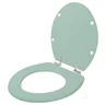 Assento Sanitário Poliester Soft Close Flamingo Verde Claro para vaso Incepa - 2