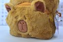 Ver imagem 7 de Mochila Escolar - Pelucia Capivara - Capybara