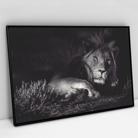 Quadro Decorativo em Canvas Leão Preto e Branco - Moldura Preta - 90 x 60cm