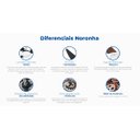 Ver imagem 4 de Ventilador de Teto Noronha Preto Com 3 Pás Tabaco de MDF 220 V Ventex