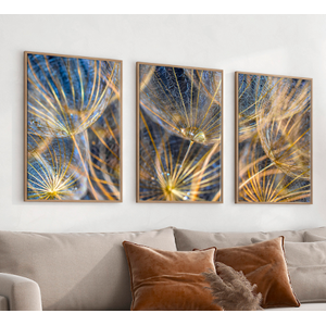 Trio Quadro Decorativo Dente de Leão