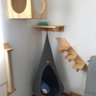 Arranhador Parede Gato Corda Sisal Madeira Maciça Pinus - 3