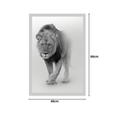 Ver imagem 2 de Quadro decorativo Leão Fundo Branco 40x60