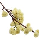 Ver imagem 3 de Kit 4 Plantas Artificiais Mamona Ornamental Jardim de 70cm