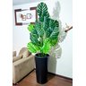 Costela de Adão Decoração Realista + Vaso Decorativo - 6