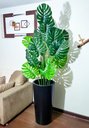 Ver imagem 6 de Costela de Adão Decoração Realista + Vaso Decorativo