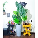 Ver imagem 1 de Costela de Adão Decoração Realista + Vaso Decorativo