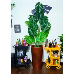 Costela de Adão Decoração Realista + Vaso Decorativo - 5