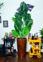 Ver imagem 5 de Costela de Adão Decoração Realista + Vaso Decorativo