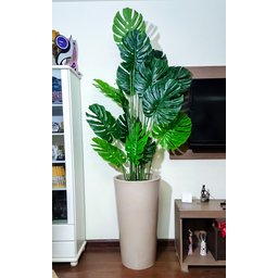 Costela de Adão Decoração Realista + Vaso Decorativo - 3