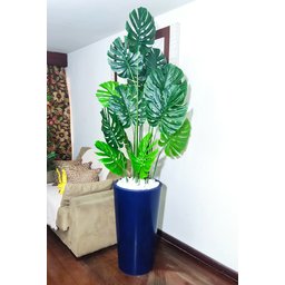 Costela de Adão Decoração Realista + Vaso Decorativo - 7