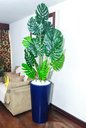 Ver imagem 7 de Costela de Adão Decoração Realista + Vaso Decorativo