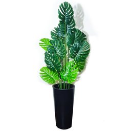 Costela de Adão Decoração Realista + Vaso Decorativo - 2