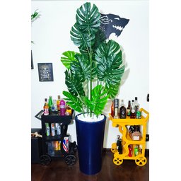 Costela de Adão Decoração Realista + Vaso Decorativo - 8