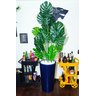 Costela de Adão Decoração Realista + Vaso Decorativo - 8