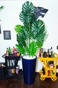 Ver mais imagens de Costela de Adão Decoração Realista + Vaso Decorativo