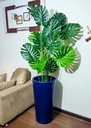 Ver imagem 4 de Costela de Adão Decoração Realista + Vaso Decorativo
