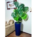 Ver imagem 4 de Costela de Adão Decoração Realista + Vaso Decorativo