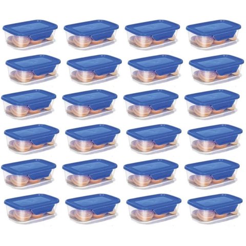 Pote Com Trava Micro E Freezer 250ml Kit C/ 24u Reutilizável