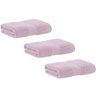 Kit 3 Toalhas de Rosto Fio Penteado Canelado Buddemeyer ROSA 3223 - 1