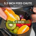Ver imagem 2 de Amzchef Juicer Automático Masticating 250w com Abertura de 135mm (prata)