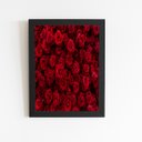 Ver imagem 1 de Rosas Buquê de Flores Vermelho Quadro Moldura Preta 60x40cm