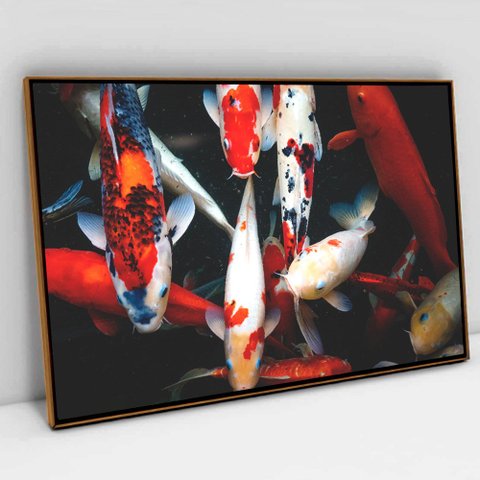 Quadro Decorativo em Canvas Peixes Ornamentais TaColado Moldura Flutuante 4,5cm Freijó 120 x 80cm