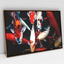 Ver imagem 1 de Quadro Decorativo em Canvas Peixes Ornamentais TaColado Moldura Flutuante 4,5cm Freijó 120 x 80cm