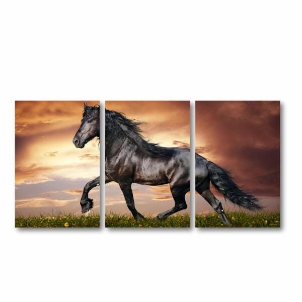 Quadro decorativo Cavalo Artístico Paisagem Tecido 3 peças - 2